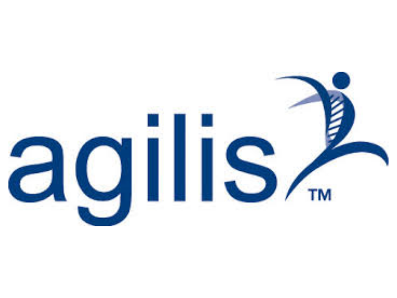 Agilis Inc